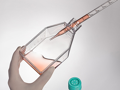 斜頸設(shè)計(jì)，易于傾倒，方便移 液管和細(xì)胞刮刀的進(jìn)出