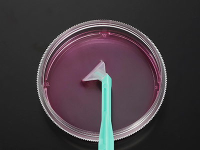 可自由旋轉(zhuǎn)刀片，能刮取各個(gè)角落，收獲細(xì)胞