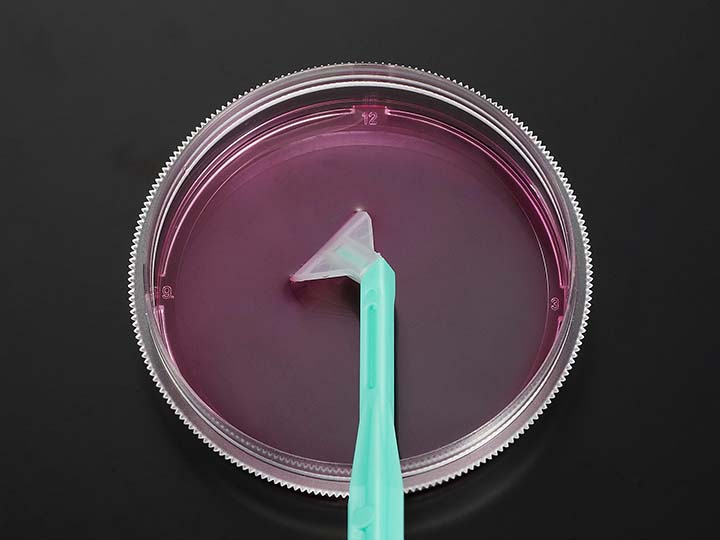 內(nèi)頁720×540 拷貝.jpg