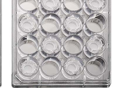 配有清晰的數(shù)字孔標(biāo)識(shí)，便于區(qū)分識(shí)別，方便記錄