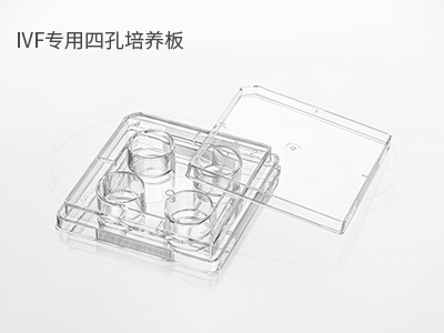 胚胎冷凍/解凍；胚胎體外培養(yǎng)